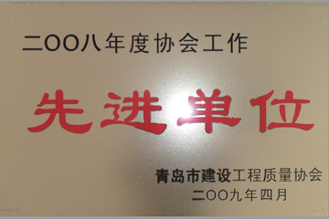 2008年度协会工作先进单位